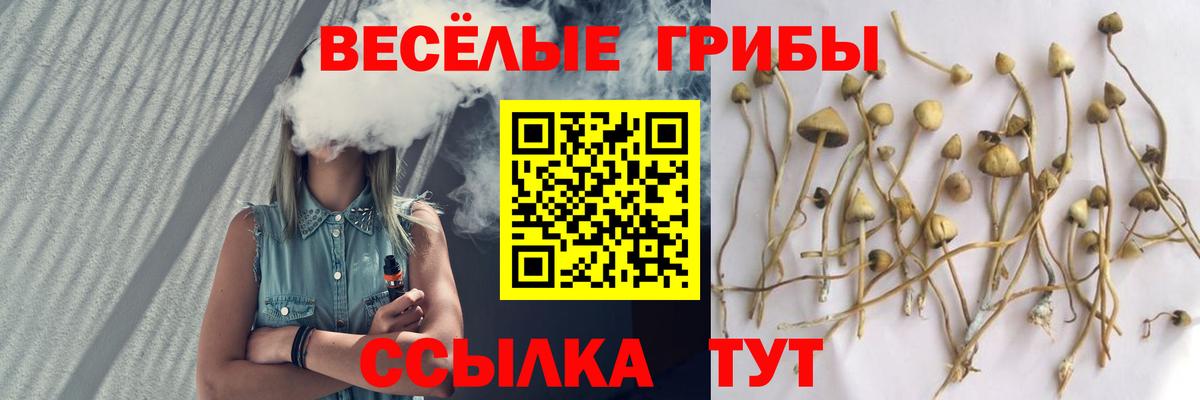 Галлюциногенные грибы мухоморы Жигулёвск