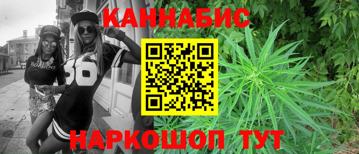 Каннабис планчик Жигулёвск